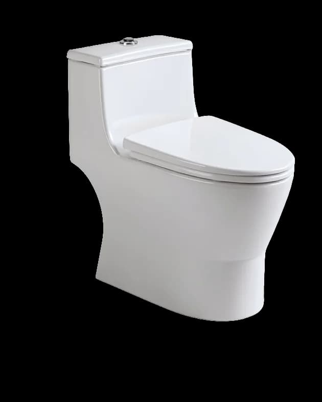 INODORO DE UNA PIEZA BLANCO TANQUE MEDIANO